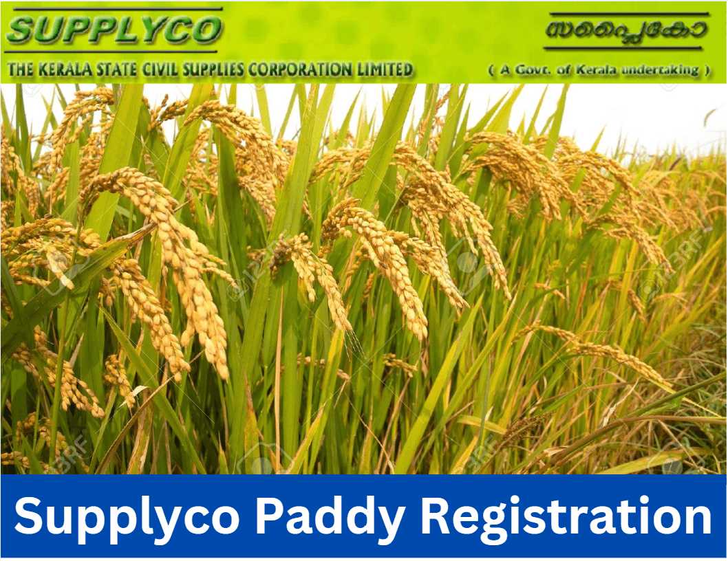 Supplyco Paddy Registration